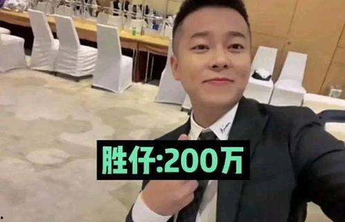 支援河北明星网红是谁