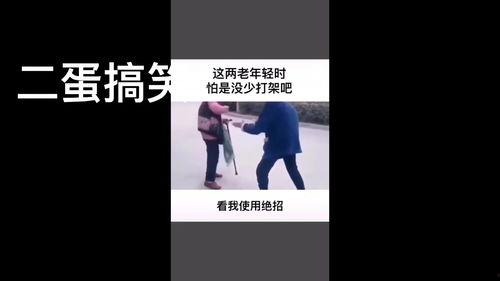 呆瓜二蛋今日视频免费观看,精彩内容不容错过！
