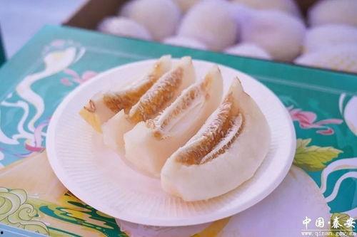 今日白脆瓜价格,市场波动下的新鲜行情