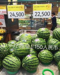 韩寺哈密瓜今日价格