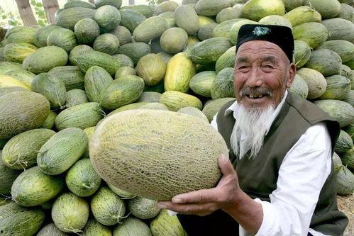 韩寺哈密瓜今日价格