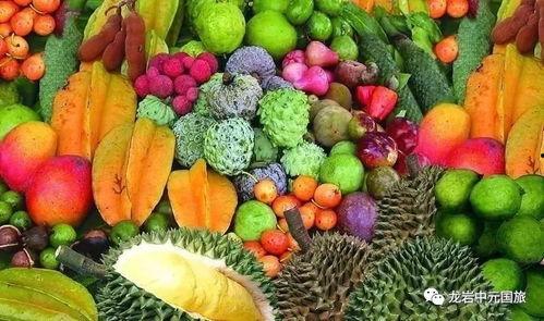 今日海南产地蒲瓜价格表,新鲜蒲瓜备受青睐