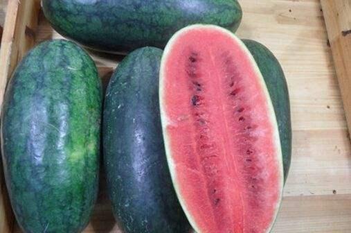 今日海南产地蒲瓜价格表,新鲜蒲瓜备受青睐