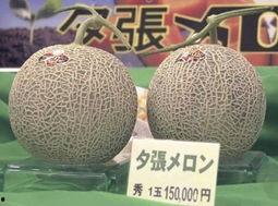 蜜瓜装车价格今日行情,价格波动解析