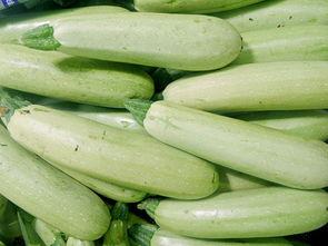 今日头条云南小瓜,探寻绿色生态农业的云南特色