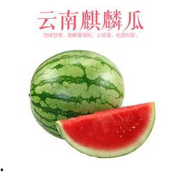 云南芒市麒麟瓜今日价位,价格行情一览