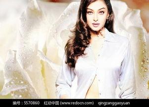 明星网红素材库下载,海量资源，一键下载，打造你的专属内容库