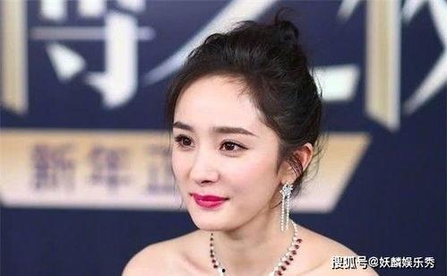 明星网红出道的有哪些,揭秘明星网红的出道之路