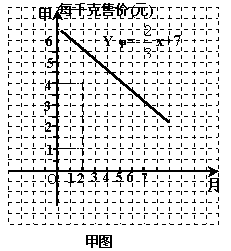 今日田瓜行情最新消息查询,价格涨跌背后的市场动态