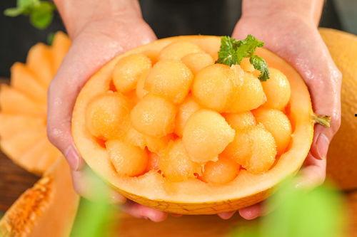 今日黄皮蜜瓜,黄皮蜜瓜的甘甜诱惑