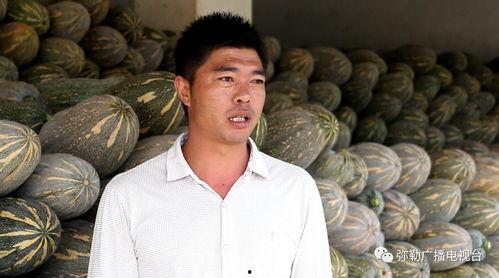 东风农场老瓜今日价格,新鲜上市，品质保证！”