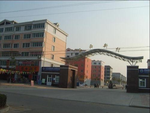 肥城王瓜店今日价格多少