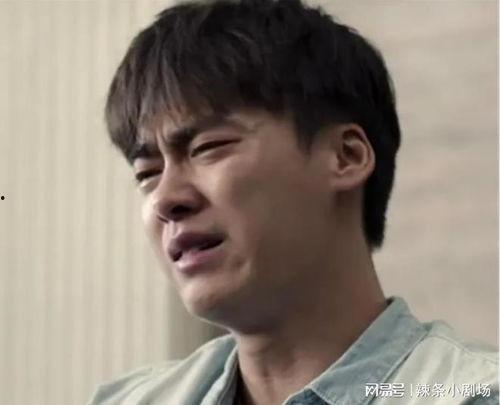 下架明星网红事件视频,揭秘背后真相与影响