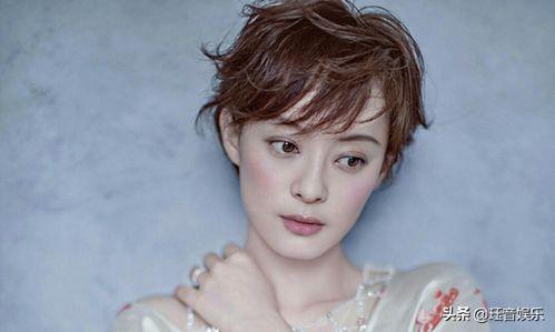 新蔡县原明星网红,揭秘网红背后的故事与成长历程”