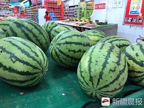 今日新疆瓜,探寻新疆特色瓜果的魅力