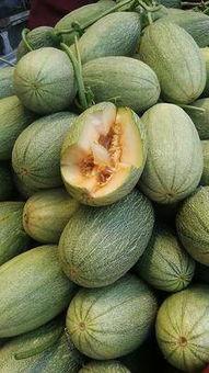 哈密瓜批发市场今日行情,价格波动与供需分析