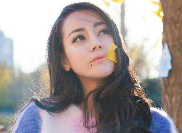 明星网红怎么交税的呀,揭秘明星网红的纳税之道