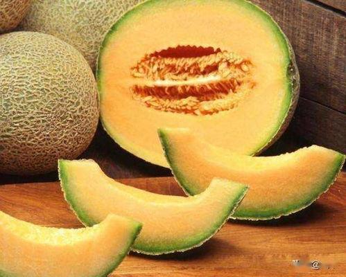 海南哈密瓜今日收购价,丰收喜悦下的市场行情解析