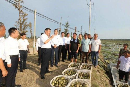 今日七甸土瓜塘新闻,土瓜塘社区发展新动态，聚焦民生改善与乡村振兴