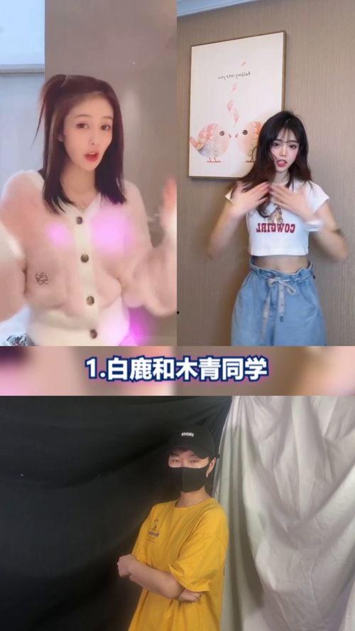 明星网红的舞蹈叫什么,揭秘明星网红的爆款舞蹈魅力