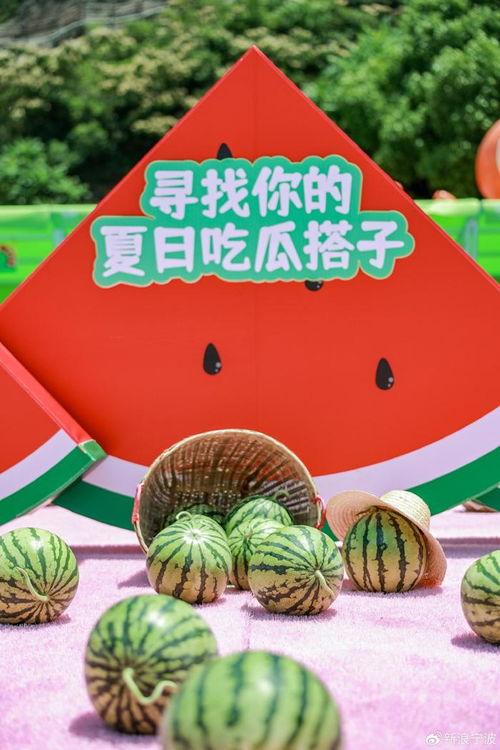 吃瓜收获今日快乐,收获今日快乐的小确幸