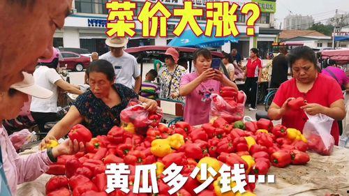 今日菜价小瓜,小瓜成为餐桌新宠