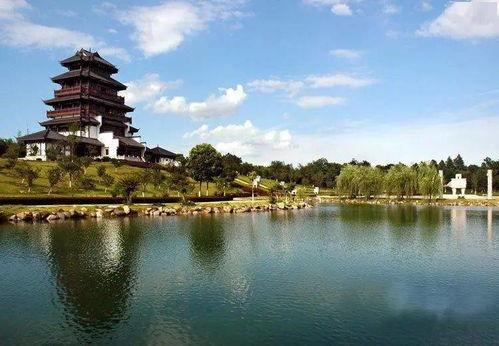 湖南张家界明星网红,明星同款美景等你来探秘