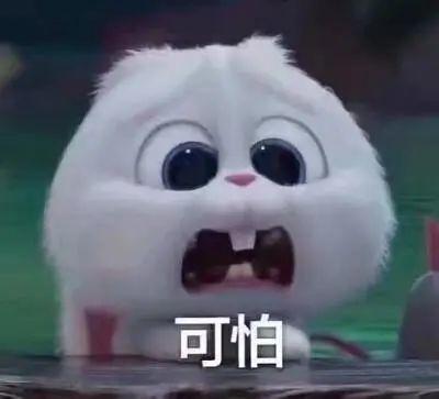 丽水今日吃瓜事件真相视频,揭秘真相背后的惊人内幕