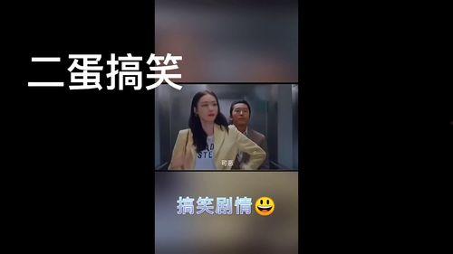 呆瓜二蛋今日视频免费观看,精彩内容不容错过！
