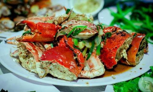 湛江蒲瓜今日头条,探寻今日头条上的绿色美食传奇
