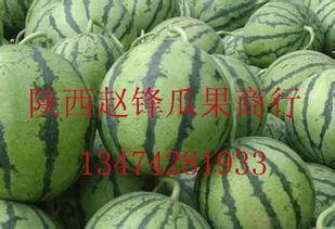 黄哈密瓜今日价格行情,价格波动解析与市场趋势洞察”
