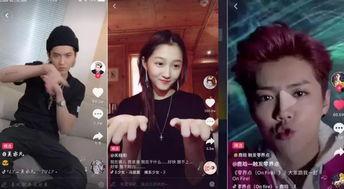 明星网红看球视频大全最新,精彩瞬间大盘点！