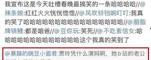 评价明星网红的评语大全,评语大全中的明星网红众生相
