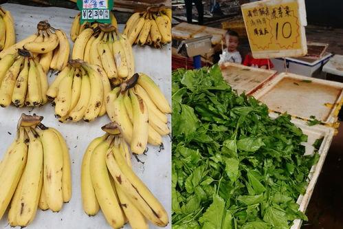 广东白瓜今日价格行情,波动分析及市场动态一览”