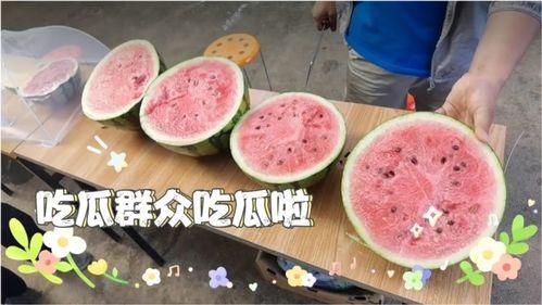 每日吃瓜今日必吃,揭秘娱乐圈新鲜热辣资讯