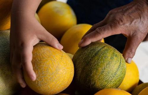 今日世纪大瓜,揭秘娱乐圈惊天秘密，震惊众人眼球！