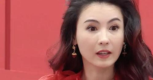 瓜姐最新消息今日视频,今日视频揭秘惊人内幕！