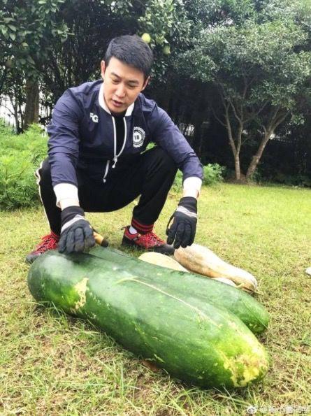 今日晒晒我的瓜,晒晒我的瓜，揭秘娱乐圈最新热点