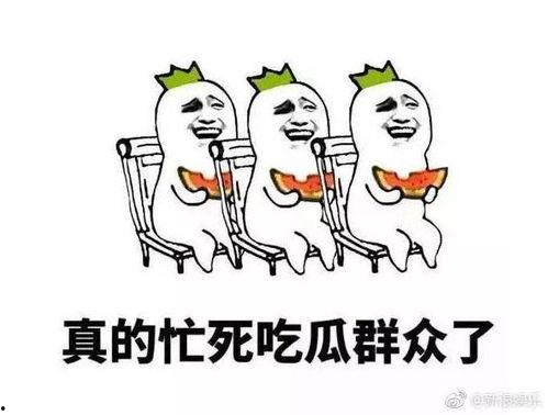 整理下今日的瓜,娱乐圈风云再起，揭秘明星幕后故事