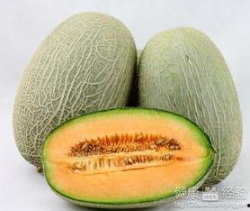 黑兔可以吃哈密瓜吗,探寻兔子饮食新选择