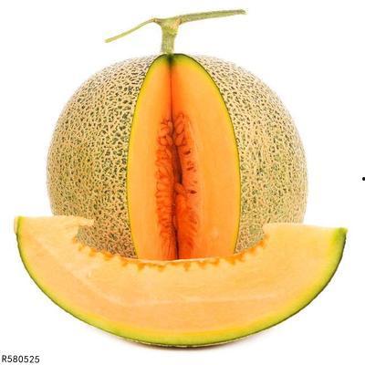 黑兔可以吃哈密瓜吗,探寻兔子饮食新选择