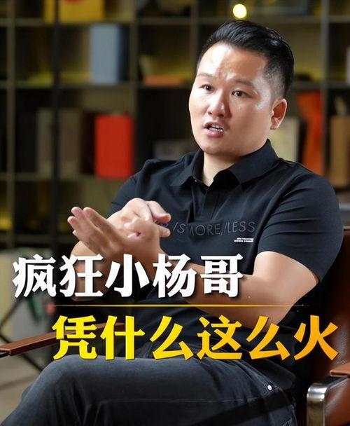 小杨哥今日吃瓜直播回放,揭秘娱乐圈幕后故事