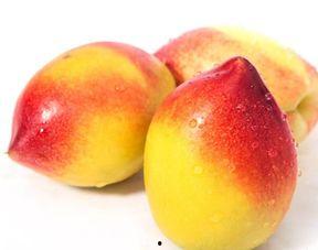 哈密瓜今日油桃价,市场行情一览”