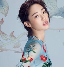 江苏信息来过明星网红吗,江苏明星网红风采掠影