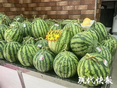 美都麒麟瓜今日市场价格,价格波动解析