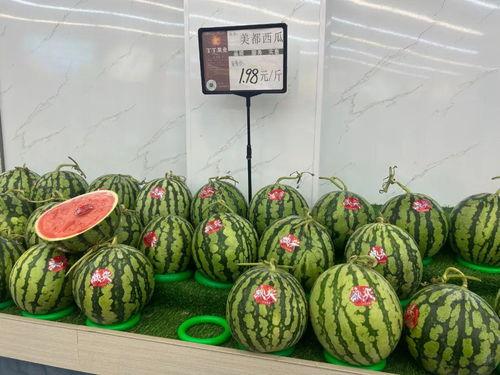 美都麒麟瓜今日市场价格,价格波动解析