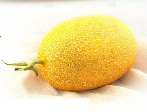 大连哈密瓜价格今日价,新鲜上市，品质保证，价格实惠”