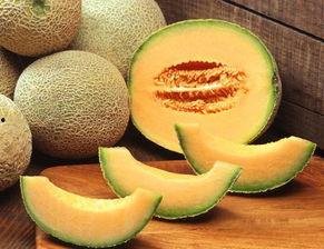 大连哈密瓜价格今日价,新鲜上市，品质保证，价格实惠”