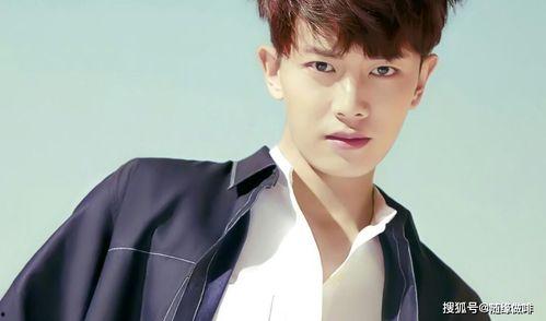 祺鑫明星网红是谁呀,她是如何成为网络红人的？”