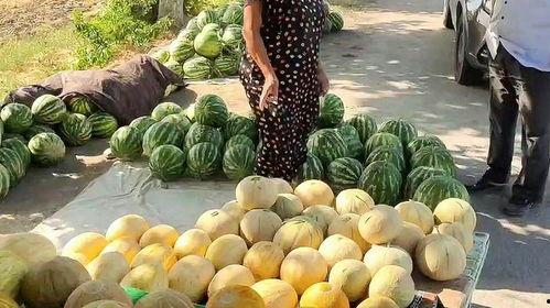 吃瓜网今日热门,揭秘娱乐圈最新八卦，热点事件一网打尽！